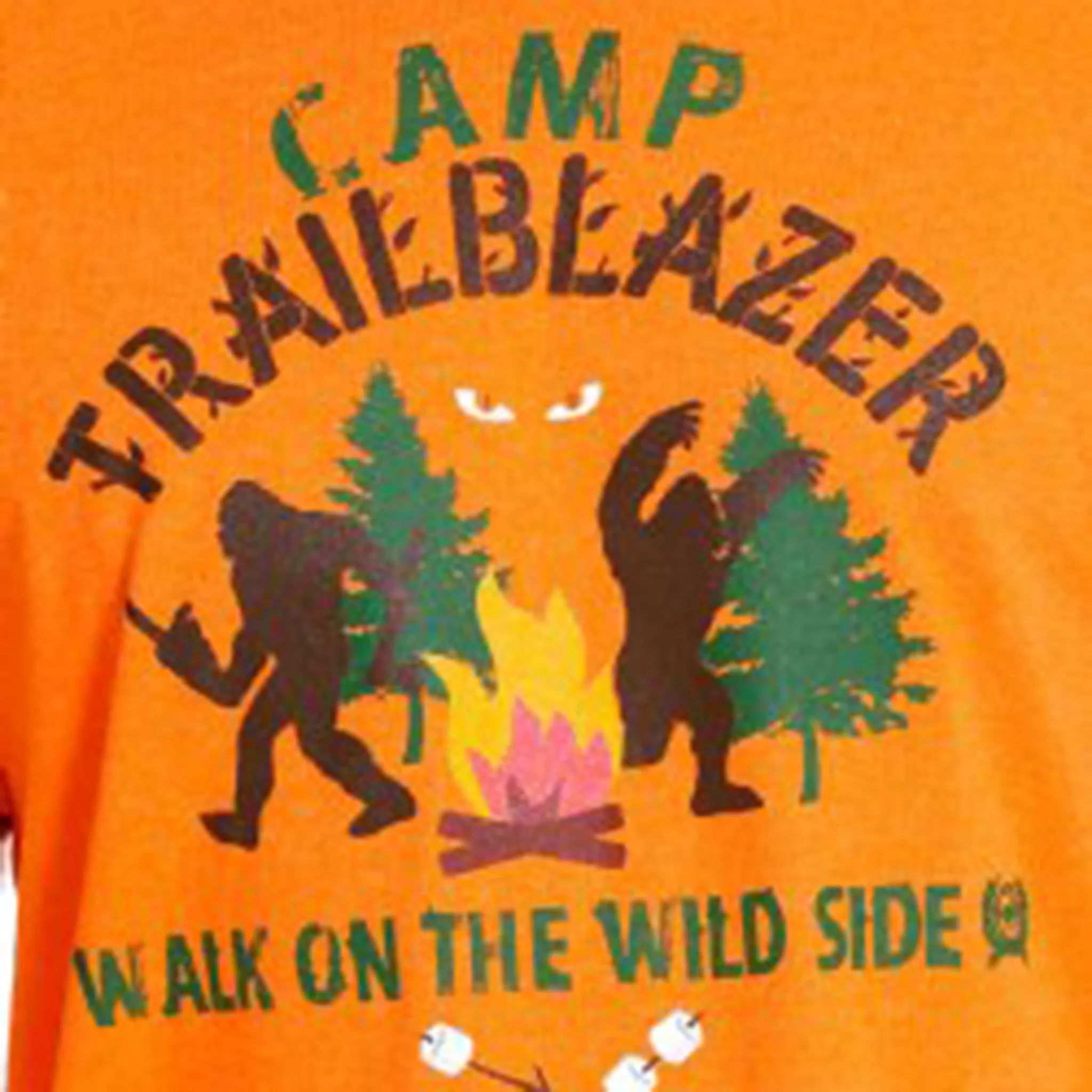 Cinch Men's Trailblazer Walk On The Wild Side Tee